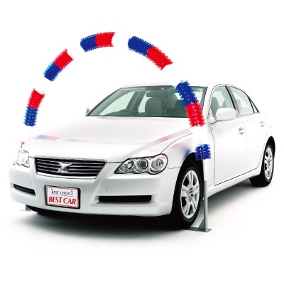 アコーディオンアーチフラワー