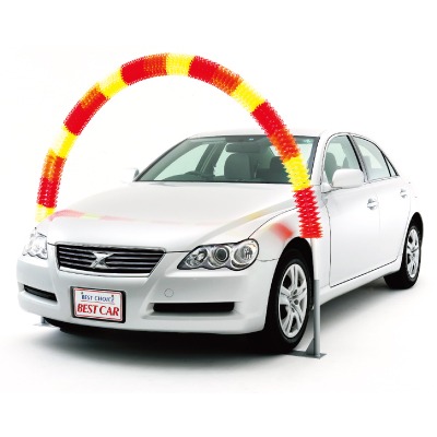 アコーディオンアーチフラワー